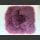 SWE Burgundi