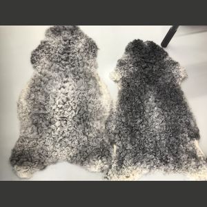 Luontaisesti harmaa, kiharavillainen lampaantalja gotlanninlammasta