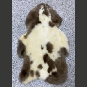 SUPERTARJOUS Silkkimäisiä monivärisiä lampaantaljoja Albanianlammasta, luomuparkittu VAIN 1 kpl/TILAUS